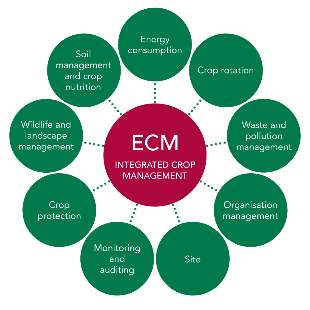 Integrated Crop Management | ECM